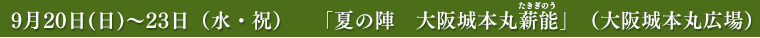 「夏の陣 大阪城本丸薪能（たきぎのう）」（大阪城本丸広場）